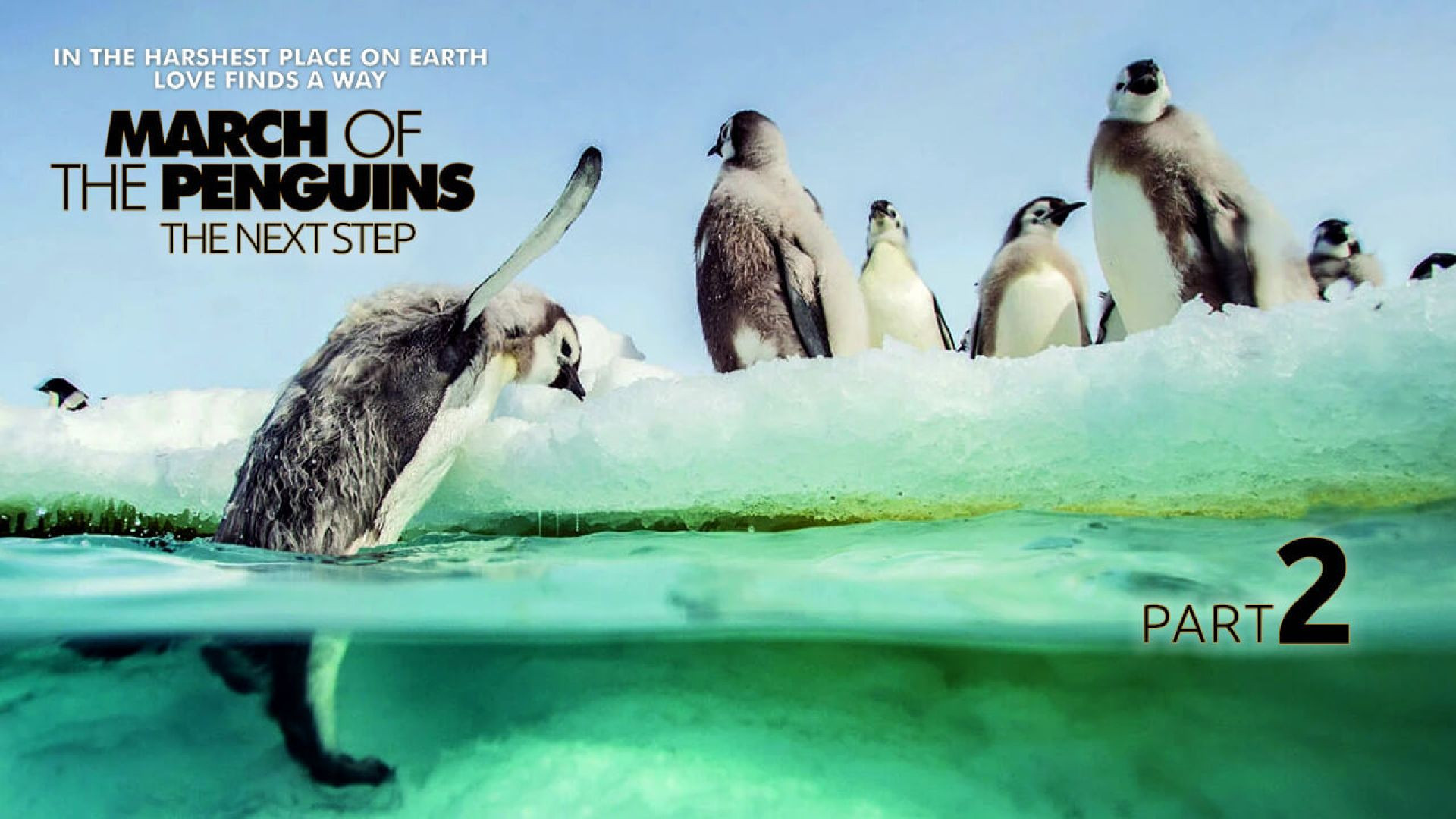 ⁣March of the Penguins - Part2 (2005)