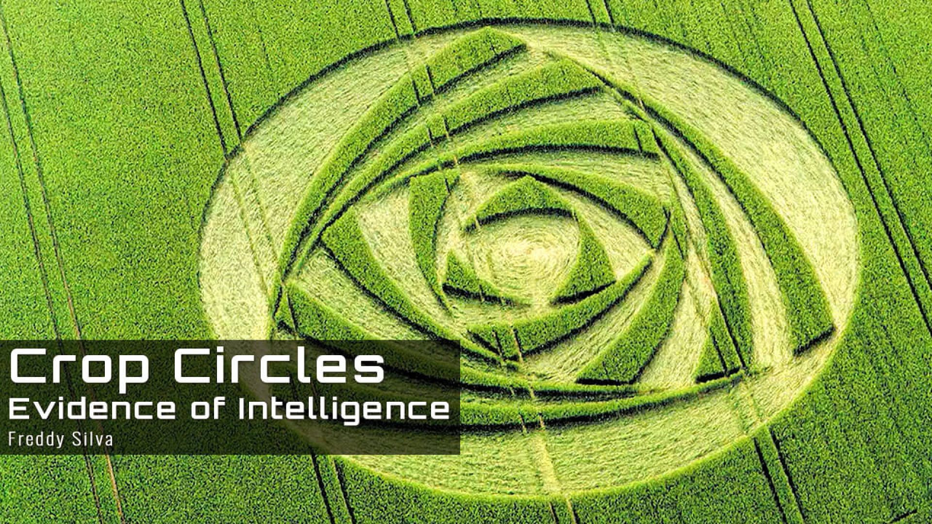 ⁣Crop Circles - Evidence of Intelligence (2019) - Freddy Silva’s Lecture